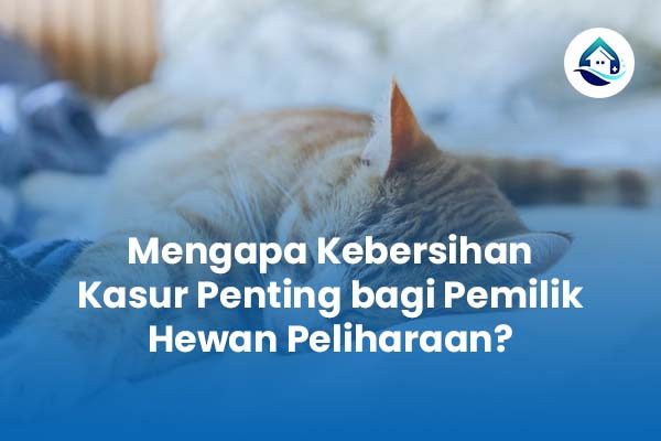 Mengapa Kebersihan Kasur Penting bagi Pemilik Hewan Peliharaan?