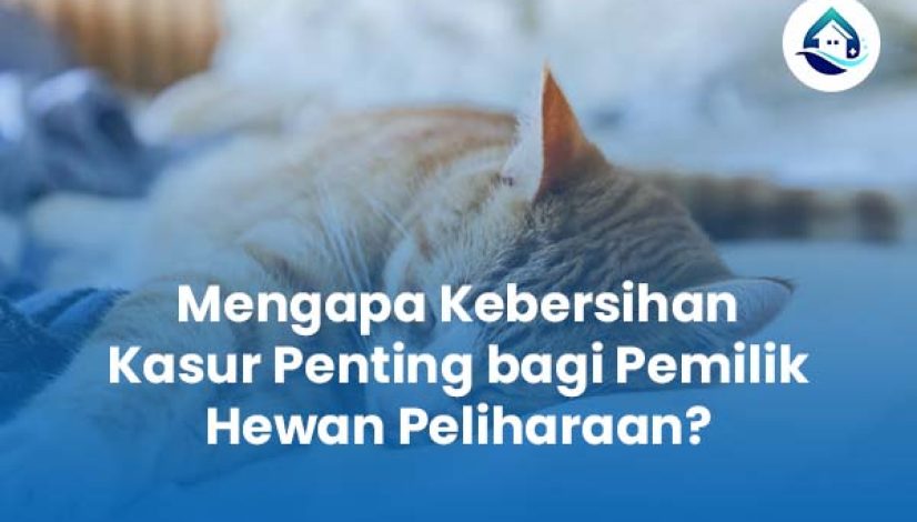 Mengapa Kebersihan Kasur Penting bagi Pemilik Hewan Peliharaan?