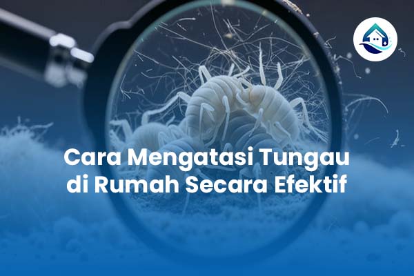 Cara Mengatasi Tungau di Rumah Secara Efektif