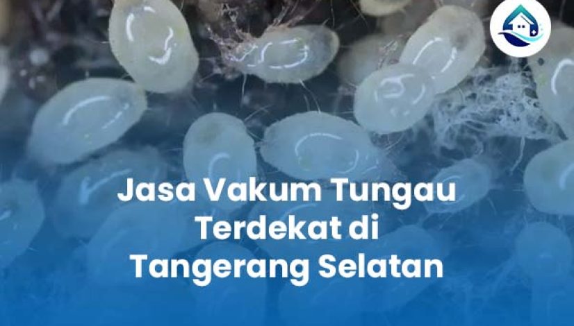 Jasa Vakum Tungau Terdekat di Tangerang Selatan