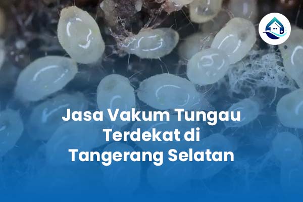 Jasa Vakum Tungau Terdekat di Tangerang Selatan