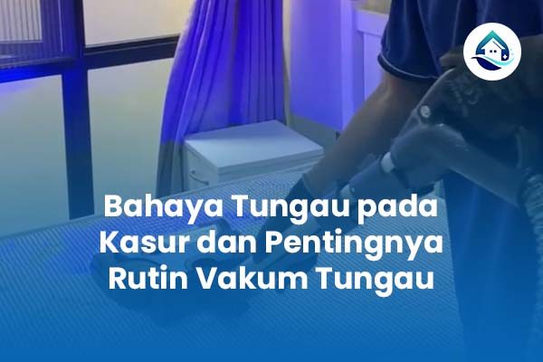 Bahaya Tungau pada Kasur dan Pentingnya Vakum Tungau