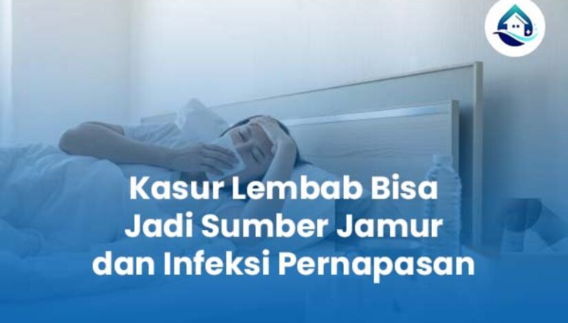 Kasur Lembab Bisa Jadi Sumber Jamur dan Infeksi Pernapasan Kasur Lembab Bisa Jadi Sumber Jamur dan Infeksi Pernapasan