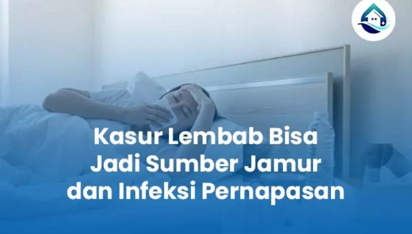 Kasur Lembab Bisa Jadi Sumber Jamur dan Infeksi Pernapasan