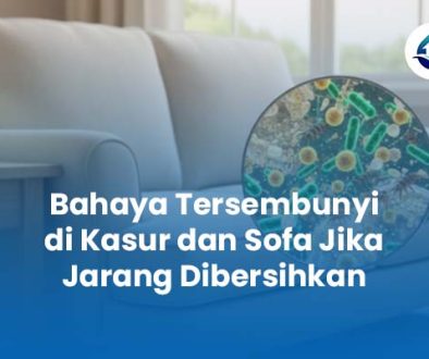 Bahaya Tersembunyi di Kasur dan Sofa Jika Jarang Dibersihkan